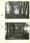 Ewidencja parkowa, skan nr 17