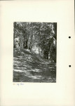 Ewidencja parkowa, skan nr 18