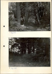 Ewidencja parkowa, skan nr 12