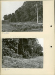 Ewidencja parkowa, skan nr 11