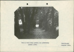 Ewidencja parkowa, skan nr 16