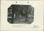 Ewidencja parkowa, skan nr 17