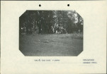 Ewidencja parkowa, skan nr 20