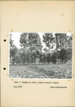 Ewidencja parkowa, skan nr 22