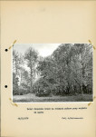 Ewidencja parkowa, skan nr 20