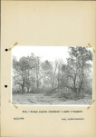 Ewidencja parkowa, skan nr 21