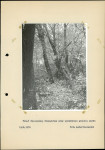 Ewidencja parkowa, skan nr 22