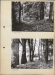 Ewidencja parkowa, skan nr 12