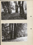 Ewidencja parkowa, skan nr 13