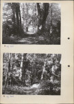 Ewidencja parkowa, skan nr 13