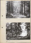 Ewidencja parkowa, skan nr 14