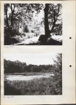 Ewidencja parkowa, skan nr 16