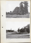 Ewidencja parkowa, skan nr 12