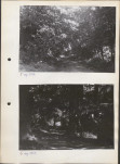 Ewidencja parkowa, skan nr 17