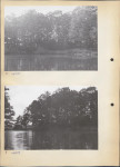 Ewidencja parkowa, skan nr 14