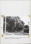 Ewidencja parkowa, skan nr 23