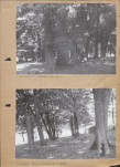 Ewidencja parkowa, skan nr 14