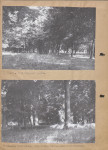 Ewidencja parkowa, skan nr 15
