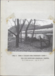 Ewidencja parkowa, skan nr 29