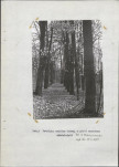 Ewidencja parkowa, skan nr 24