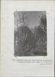 Ewidencja parkowa, skan nr 26
