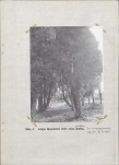 Ewidencja parkowa, skan nr 22