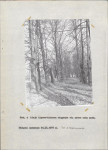 Ewidencja parkowa, skan nr 24
