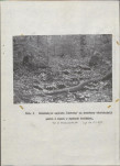 Ewidencja parkowa, skan nr 25
