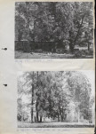 Ewidencja parkowa, skan nr 19