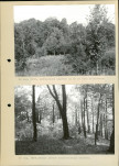 Ewidencja parkowa, skan nr 15