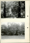Ewidencja parkowa, skan nr 14