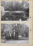 Ewidencja parkowa, skan nr 13
