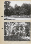 Ewidencja parkowa, skan nr 14