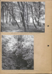 Ewidencja parkowa, skan nr 13