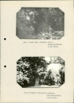 Ewidencja parkowa, skan nr 23