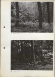 Ewidencja parkowa, skan nr 14