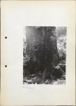Ewidencja parkowa, skan nr 16