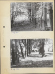Ewidencja parkowa, skan nr 10