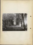Ewidencja parkowa, skan nr 11