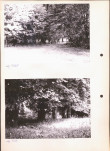 Ewidencja parkowa, skan nr 13