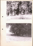 Ewidencja parkowa, skan nr 14