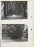 Ewidencja parkowa, skan nr 16