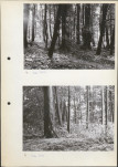 Ewidencja parkowa, skan nr 15