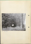 Ewidencja parkowa, skan nr 16