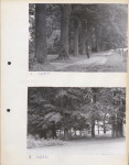 Ewidencja parkowa, skan nr 12