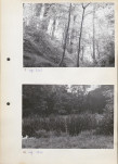 Ewidencja parkowa, skan nr 19