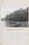 Ewidencja parkowa, skan nr 32