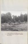 Ewidencja parkowa, skan nr 33