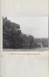 Ewidencja parkowa, skan nr 35