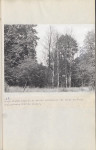 Ewidencja parkowa, skan nr 42